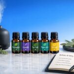 arranged essential oil bottles with diffuser and eucalyptus on blue background